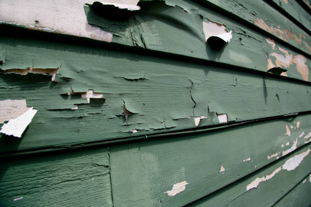Trusted Daytona Beach, FL Junk Removal Experts