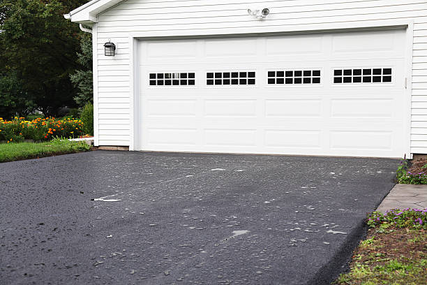 Best Shed Removal  in Daytona Beach, FL
